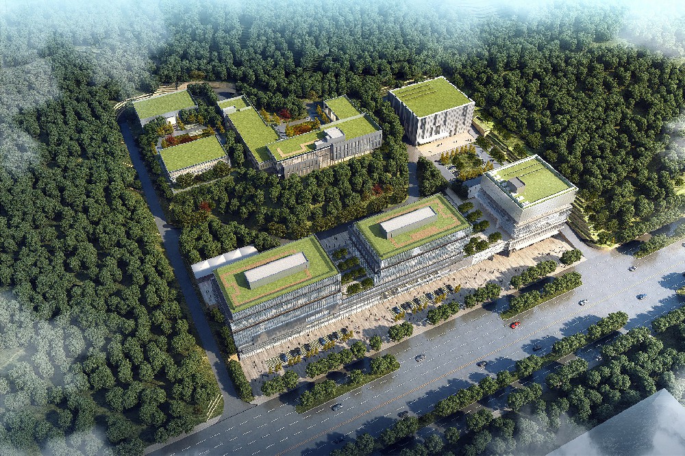 ����ɽƬ�����ؽ�����Ŀ��������