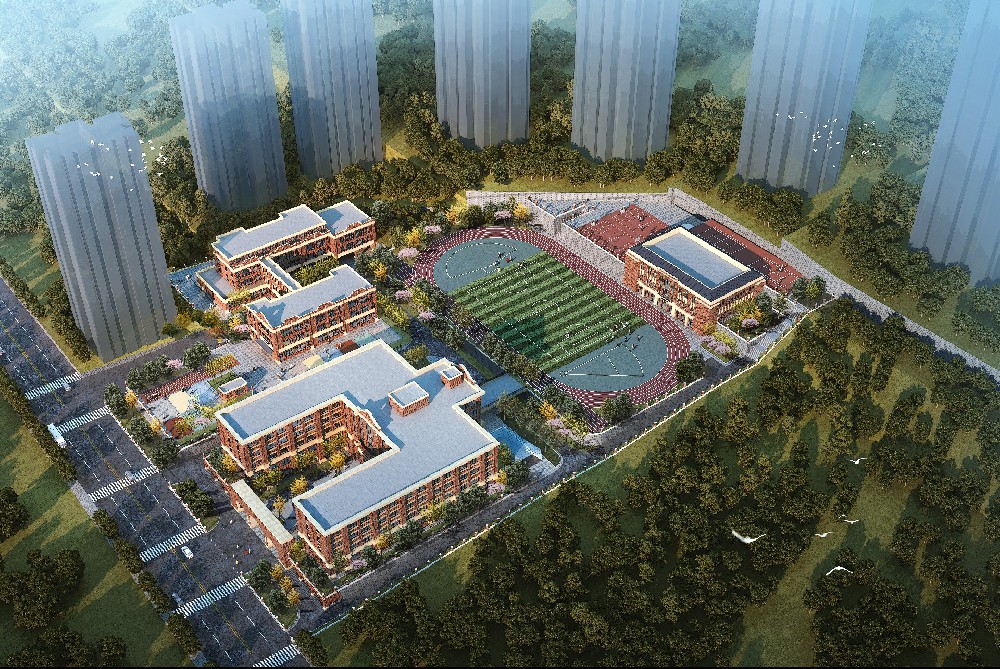 ���������;�ѧУ��ƹ��̣�������